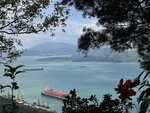 IMG_2886