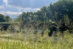 IMG_2972