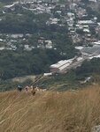 IMG_3014