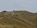 IMG_3018