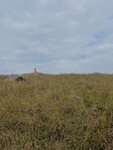 IMG_3025