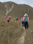 IMG_3031