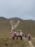 IMG_3034