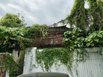 IMG_3105