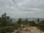 IMG_3115