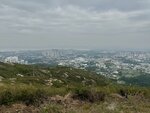 IMG_3134
