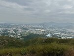 IMG_3137