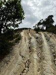 IMG_3140