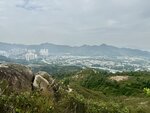 IMG_3151