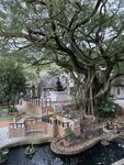 IMG_3256