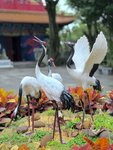 IMG_3259