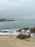 IMG_3372