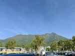 IMG_3577