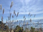 IMG_3636