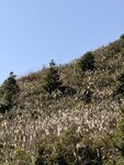 IMG_3660