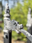 IMG_3992