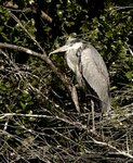 IMG_3996