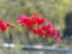 IMG_3997
