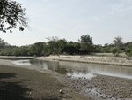 IMG_3999