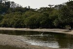 IMG_4001