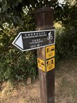 IMG_4041
