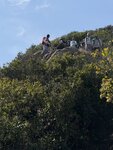 IMG_4061