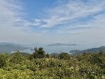 IMG_4101