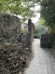 IMG_4191