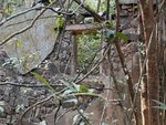 IMG_4219