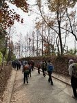 IMG_4513