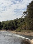 IMG_4525