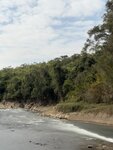 IMG_4526