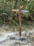 IMG_4535