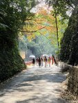 IMG_4548