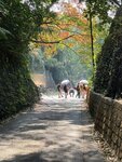 IMG_4549