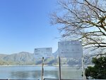 IMG_4855