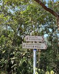 IMG_4881