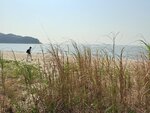 IMG_5014