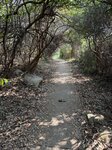 IMG_5019