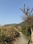 IMG_5038