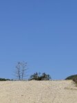 IMG_5496