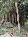 IMG_5667
