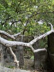 IMG_5668