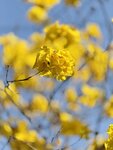 IMG_5945