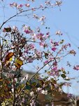 IMG_5965