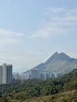 IMG_5990