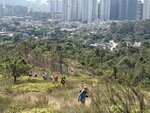 IMG_5991