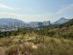 IMG_5992