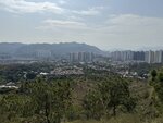 IMG_5993