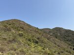 IMG_5997